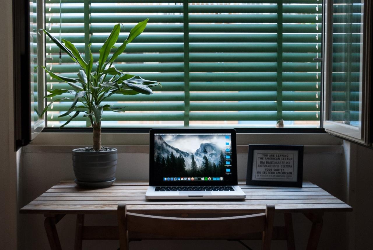 low-light-plants-for-home-and-office-sc628f91320fe04-1280